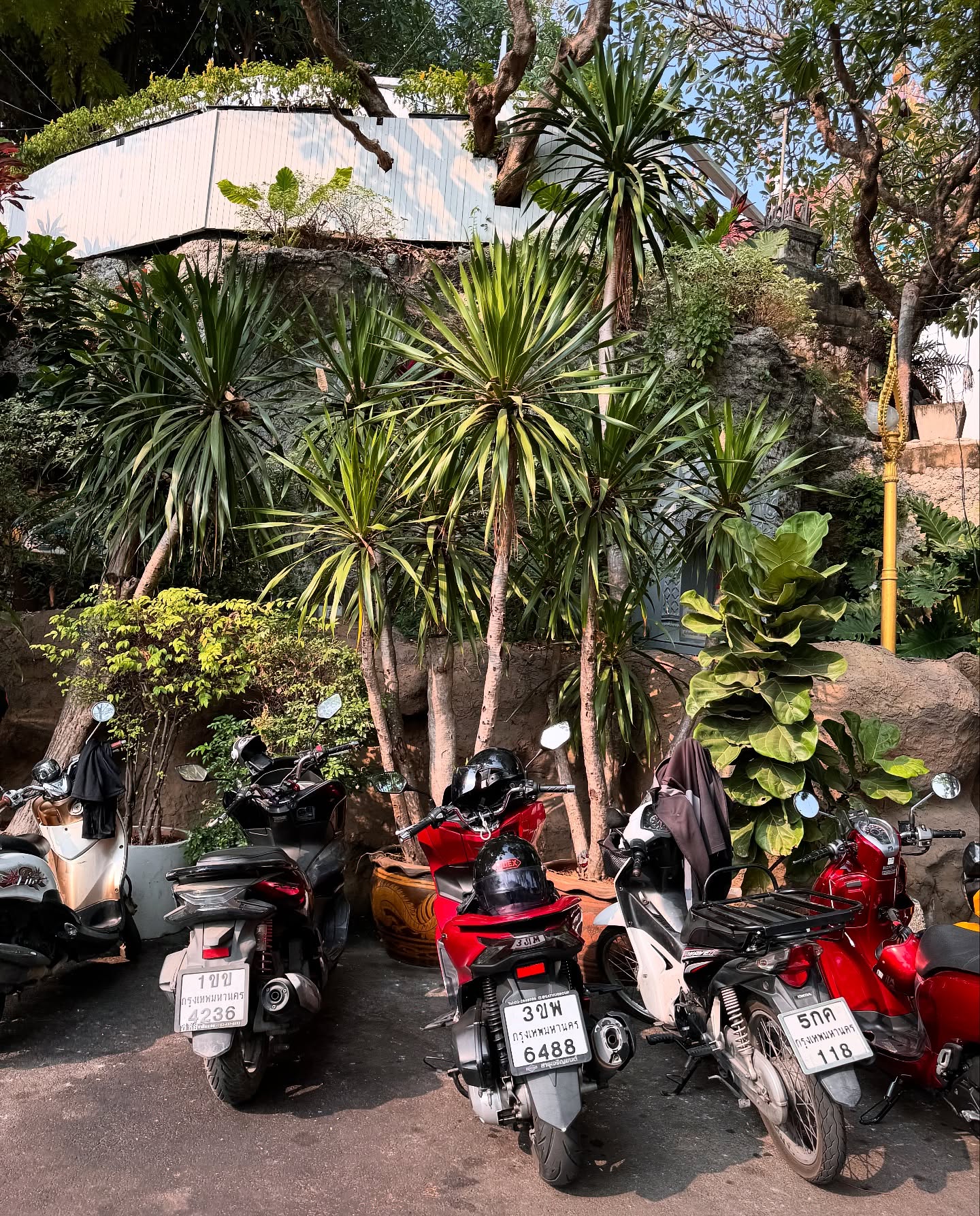 Travel photo