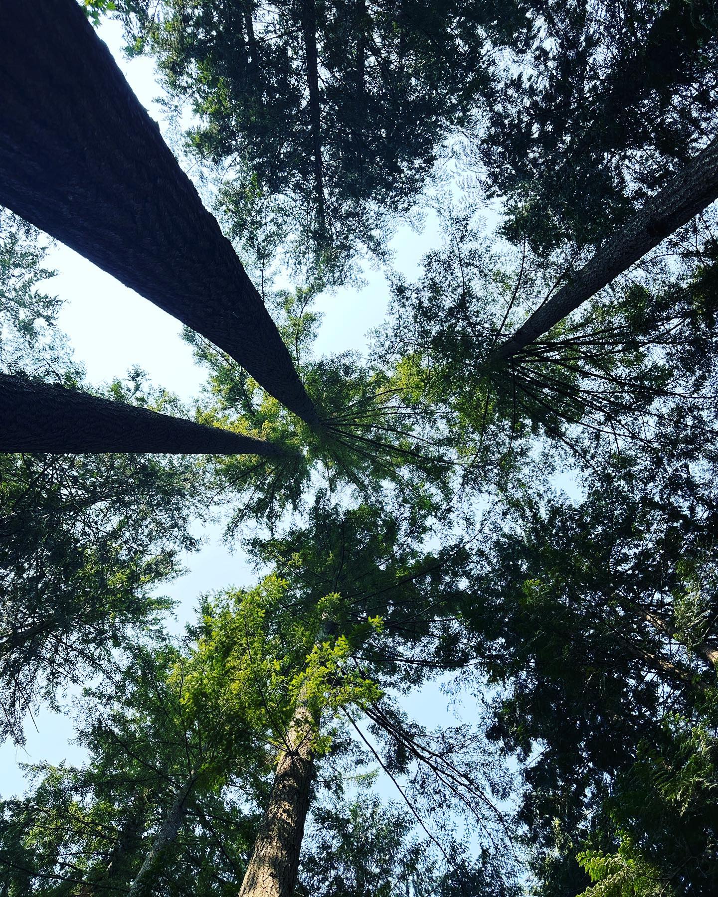 Travel photo