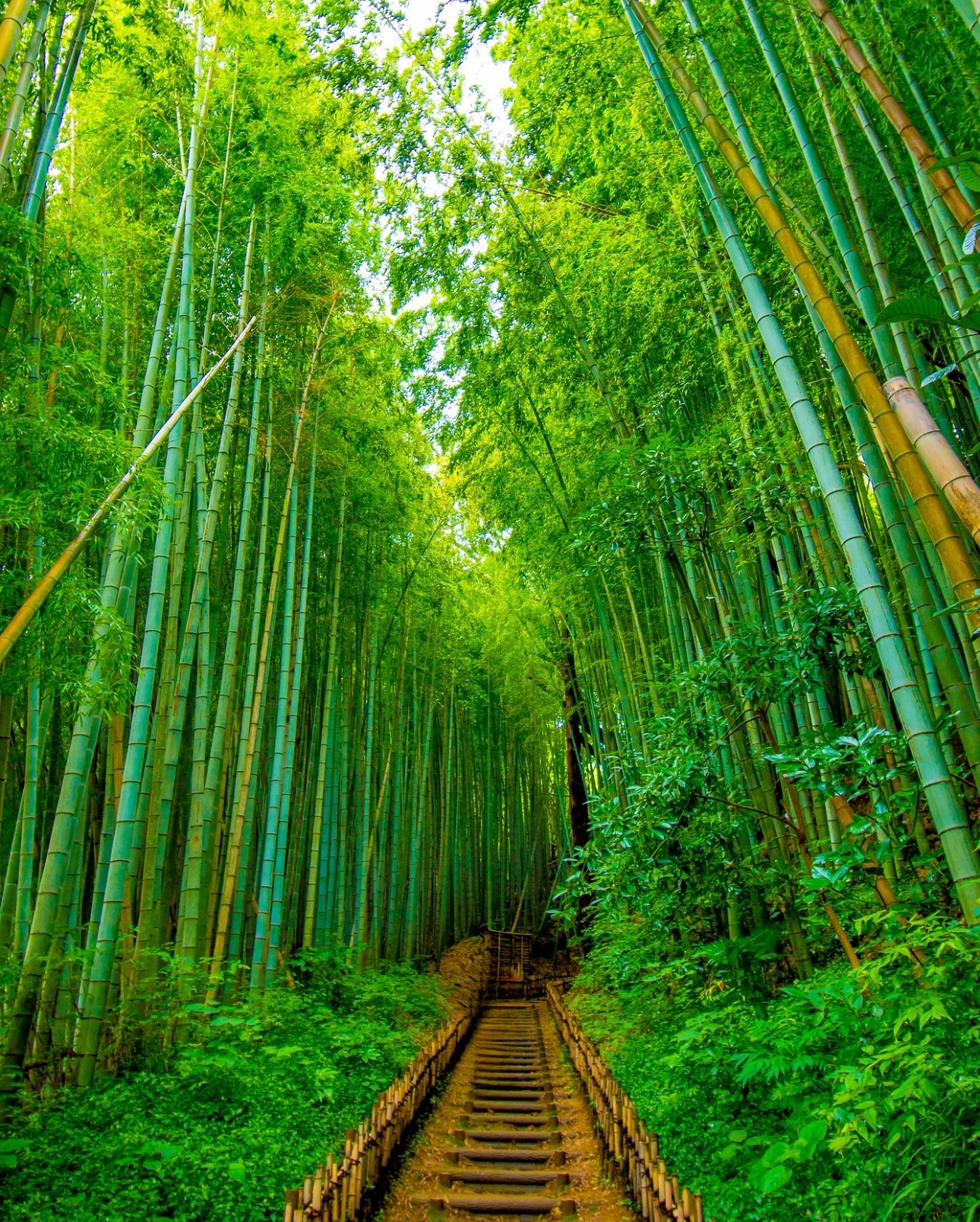 Travel photo